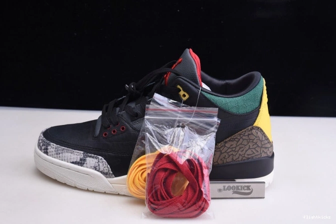 Animal Air CV3583-003 Retro Instinct Jordan 2.0 SE 3 - 0922